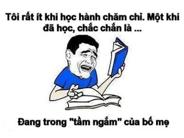 Meme học tiếng Anh level thần