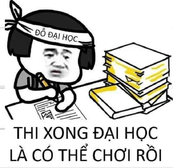 Meme mèo học bài cute