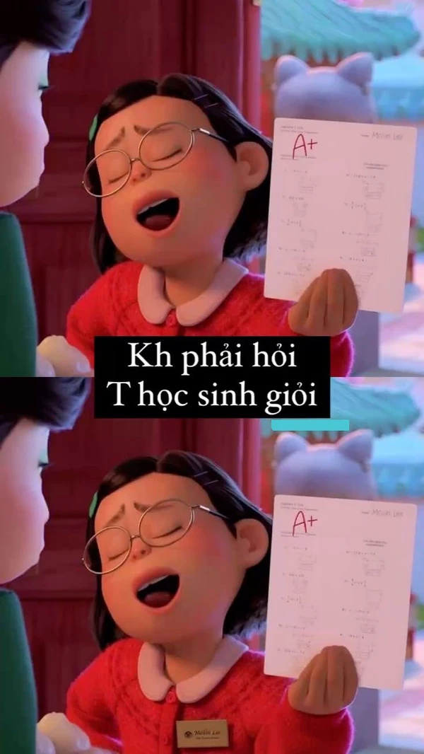 Meme mèo học bài mở mắt không nổi