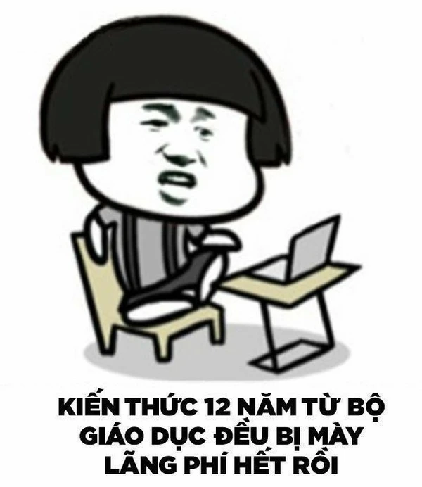 Meme mèo học bài tấu hài