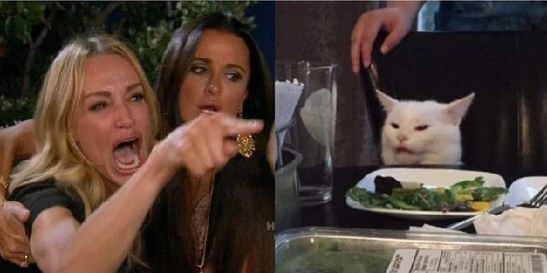 Meme woman yelling at a cat