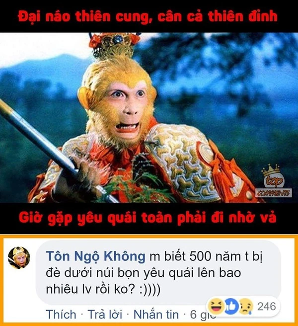 top-72-anh-ton-ngo-khong-meme-cuc-hai-huoc-ba-dao (34)