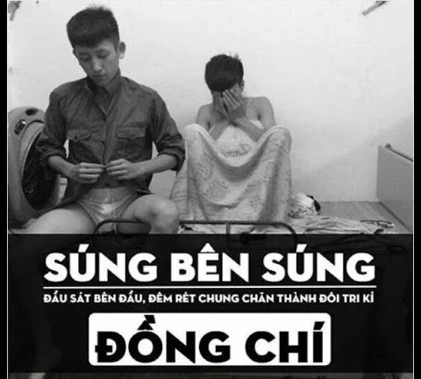 bo-anh-se-gay-meme-cuc-hai-huoc (5)