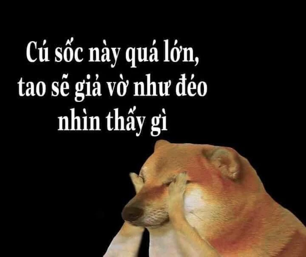 meme-cho-vui-nhon (3)