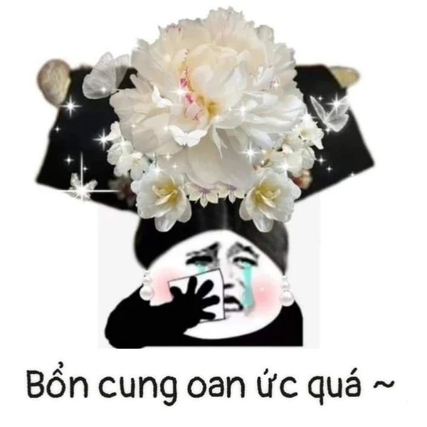 meme gấu trúc bổn cung oan ức quá