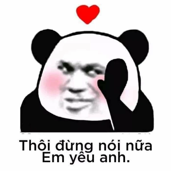 meme gấu trúc thôi đừng nói nữa, em yêu anh