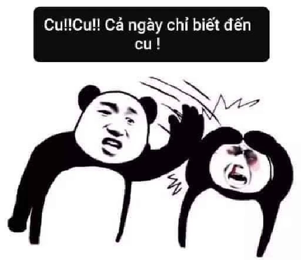 meme gấu trúc cu! cu! cu! cả ngày chỉ biết đến cu