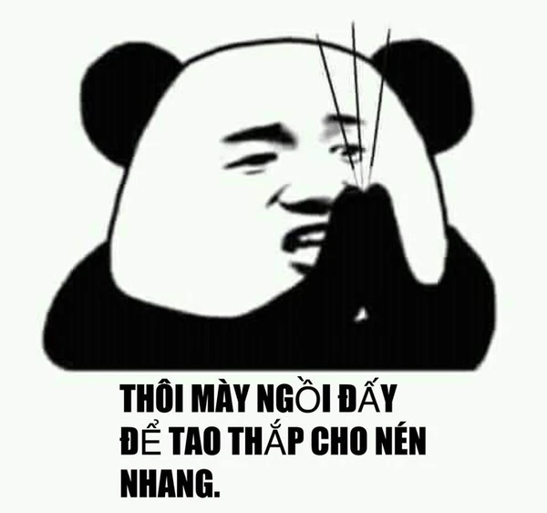 meme gấu trúc thôi mày ngồi đấy để tao thắp cho nén nhang