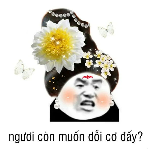 meme gấu trúc ngươi còn muốn dỗi cơ đấy?