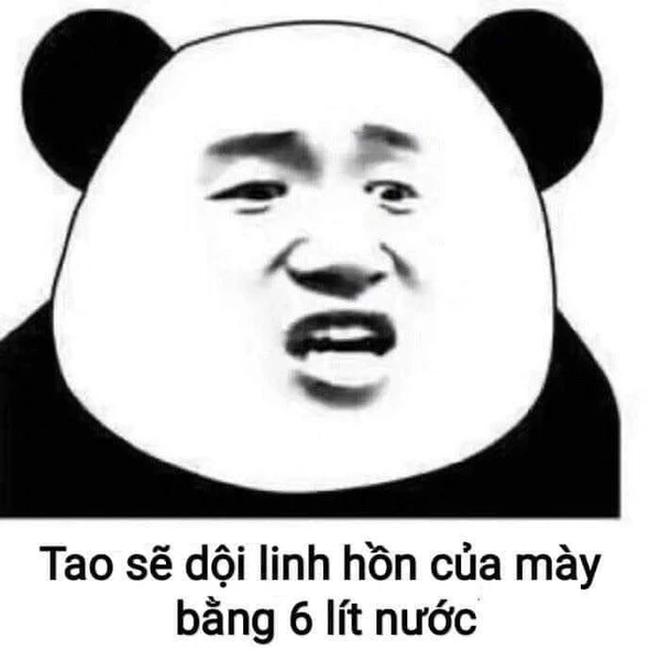 meme gấu trúc tao sẽ dội linh hồn của mày bằng 6 lít nước