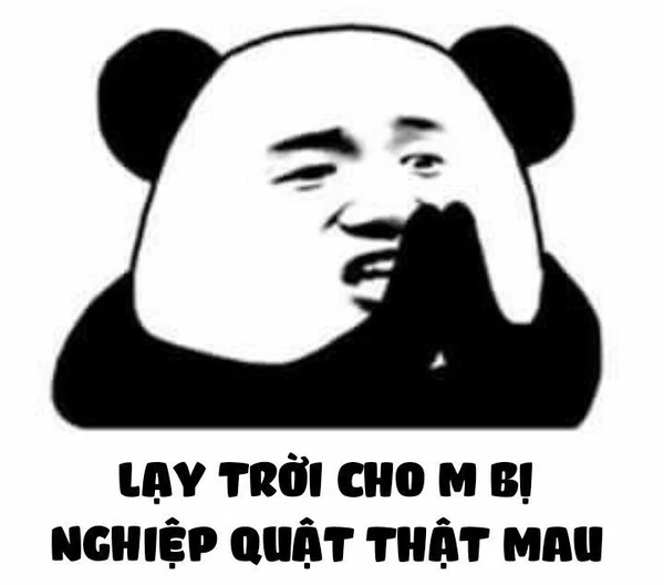 meme gấu trúc lạy trời cho m bị nghiệp quật thật mau