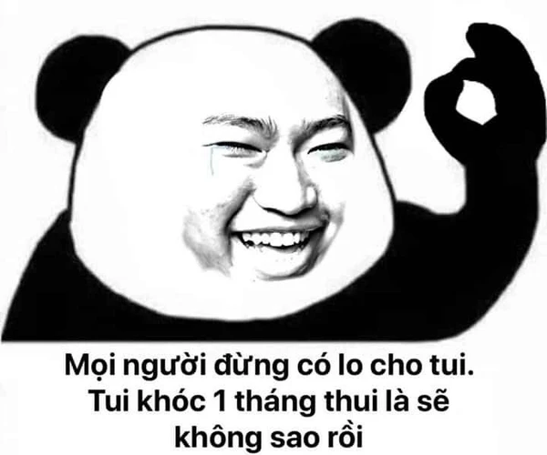 mọi người đừng có lo cho tui tui khóc 1 tháng thui là sẽ khống ao rồi