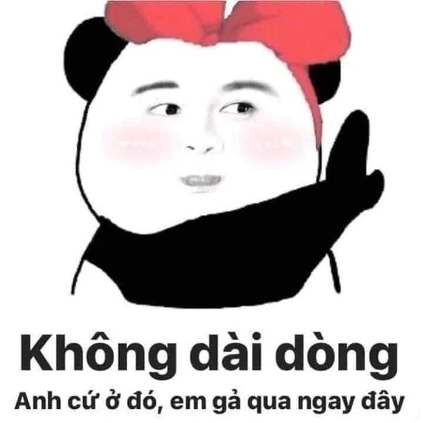 meme gấu trúc không dài dòng, anh cứ ở đó, em gả qua ngay đây