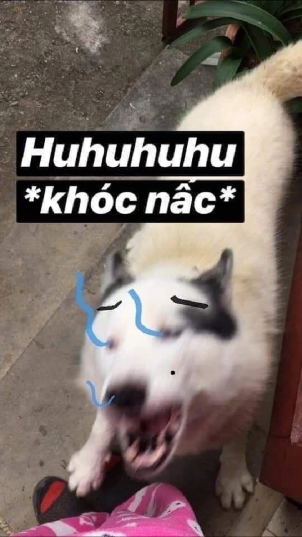 meme-khoc-hai-huoc (7)