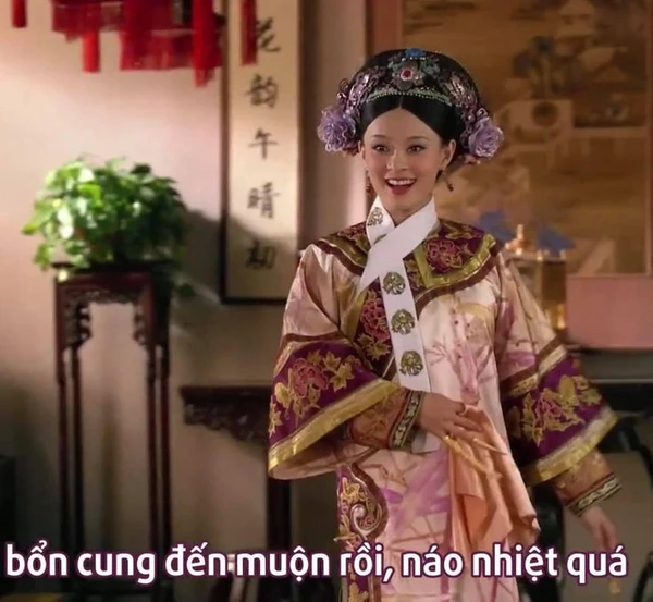 meme phim cung đấu (3)