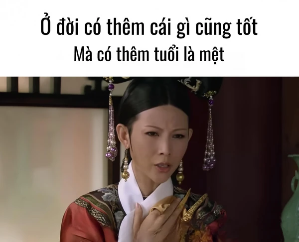 meme phim cung đấu (4)