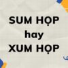 Sum họp hay xum họp đúng chính tả? Cách phân biệt dễ nhất