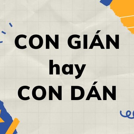 Con gián hay con dán? Đừng để lỗi chính tả đánh lừa bạn!
