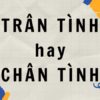 Trân tình hay chân tình? Cách dùng đúng nhất bạn cần biết