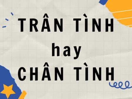 Trân tình hay chân tình? Cách dùng đúng nhất bạn cần biết