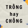 Trông hay chông? Sai một ly, đi cả nghĩa!