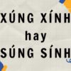 Xúng xính hay súng sính: Bạn đã biết cách phân biệt đúng?